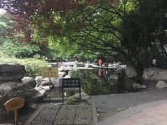 -神仙树公园
