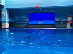 -锦艺城海洋馆