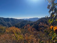 -大岭沟猕猴桃谷风景区