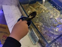 -澜悦港海鲜体验主题餐厅