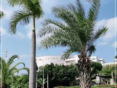 -厦门大学(思明校区)