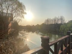 -自然谷恐龙园