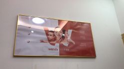 -WENDY·温迪皮肤管理