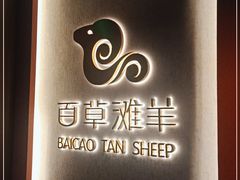 -百草滩羊清水涮羊肉(长城路店)