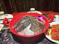 -二荆条·蜀鲜汇城市森林火锅