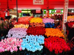 -越秀西湖花市(广州城市广场花卉店)