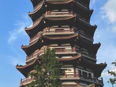 -洋湖国家湿地公园