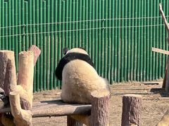 -沈阳森林动物园