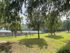 -石家庄市动物园