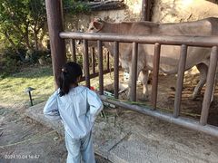 -南阳卧龙岗武侯祠