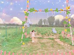 -北京东方普罗旺斯薰衣草庄园