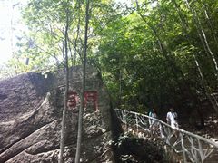 临安大明山景区-大明山自然探索公园