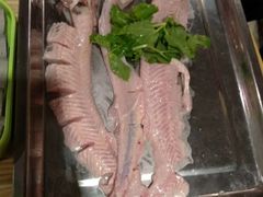 -香坝坝鲜鱼火锅(春熙路店)