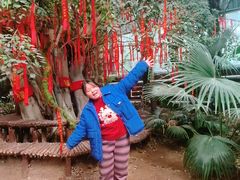 -呀路古热带植物园
