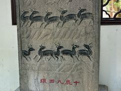 -上海醉白池公园