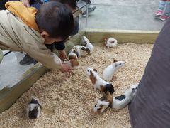 -昆明大悦城未来动物城(螺蛳湾中心店)