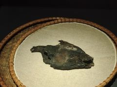 -湖北省博物馆