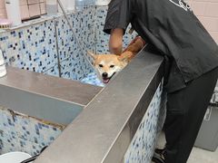 -FAELING PETS美天灵宠物(富力广场店)