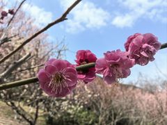 -雨花胜境
