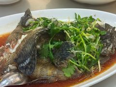 -海港酒家(上水新丰店)