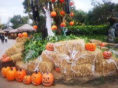 -七彩云南欢乐世界