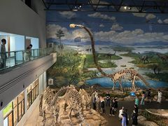 -自贡恐龙博物馆