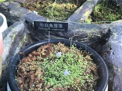 -国家植物园南园