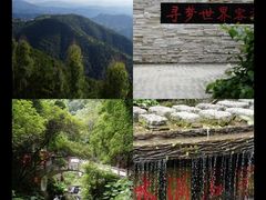 -梅州天地人花园酒店(梅县人民广场店)