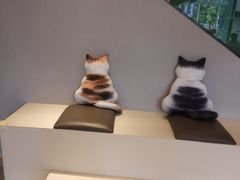 -飞行喵MR PILOT|猫舍·猫咖(静安大融城店)