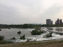 -永定河休闲森林公园