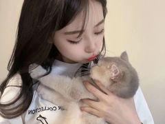 -青奢宠物·青奢猫舍