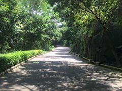 -小南山公园