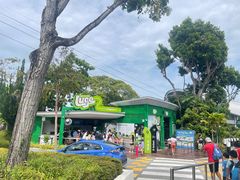 -圣淘沙天际线斜坡滑车