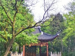 -汇龙潭