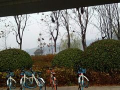 -羊山湖公园