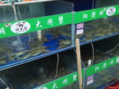 -阳澄湖大闸蟹·琼灵阁牌品牌连锁(吴中总店)