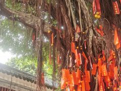 -佛山市祖庙博物馆
