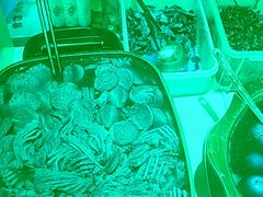 -飨府.老淮面馆.自营(清河路店)