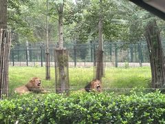 -秦皇岛野生动物园