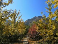 -北京鹫峰国家森林公园