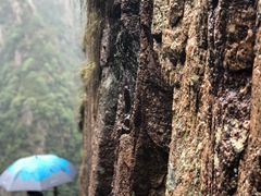 -天台山赤城山景区