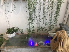 -苗祖咖啡(洛克时代中心店)