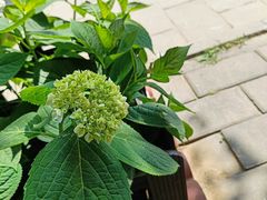 -北京石刻艺术博物馆(五塔寺)