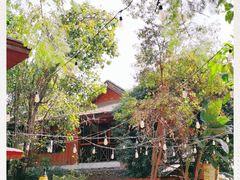 -抚仙湖生态石锅鱼野生菌(告庄店)