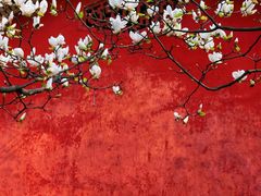 -学习谷日语培训日本留学·多语种外语教学(海淀人大分部)