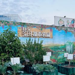 -梦田都市农场(银泰城店)