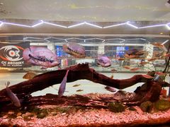 -弓舍射箭俱乐部(高新总店)