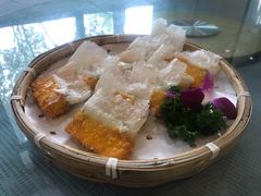-华凌山庄·隐湖栖