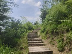 -长沙黑麋峰国家森林公园