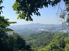 -火炉山森林公园